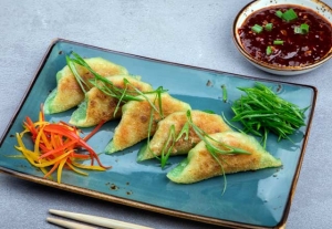 Vegetable Gyoza